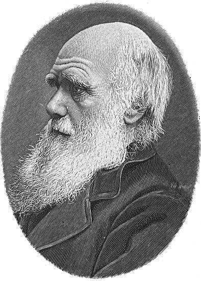 Олександр Ковалевський