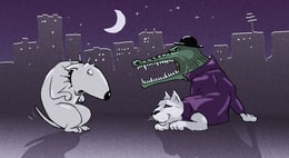 Містер Крококіт