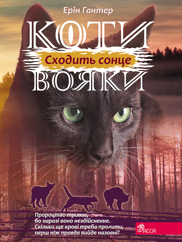 Коти вояки. Сила трьох. Книга 6. Сходить Сонце