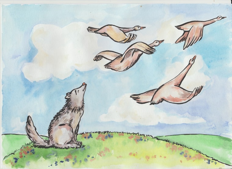 Легкий хліб