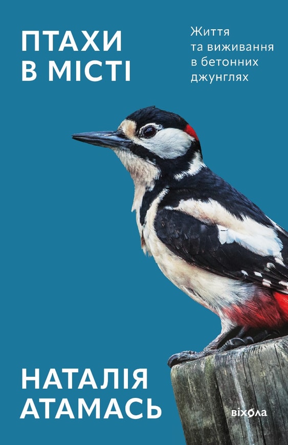 Птахи в місті. Життя та виживання в бетонних джунглях
