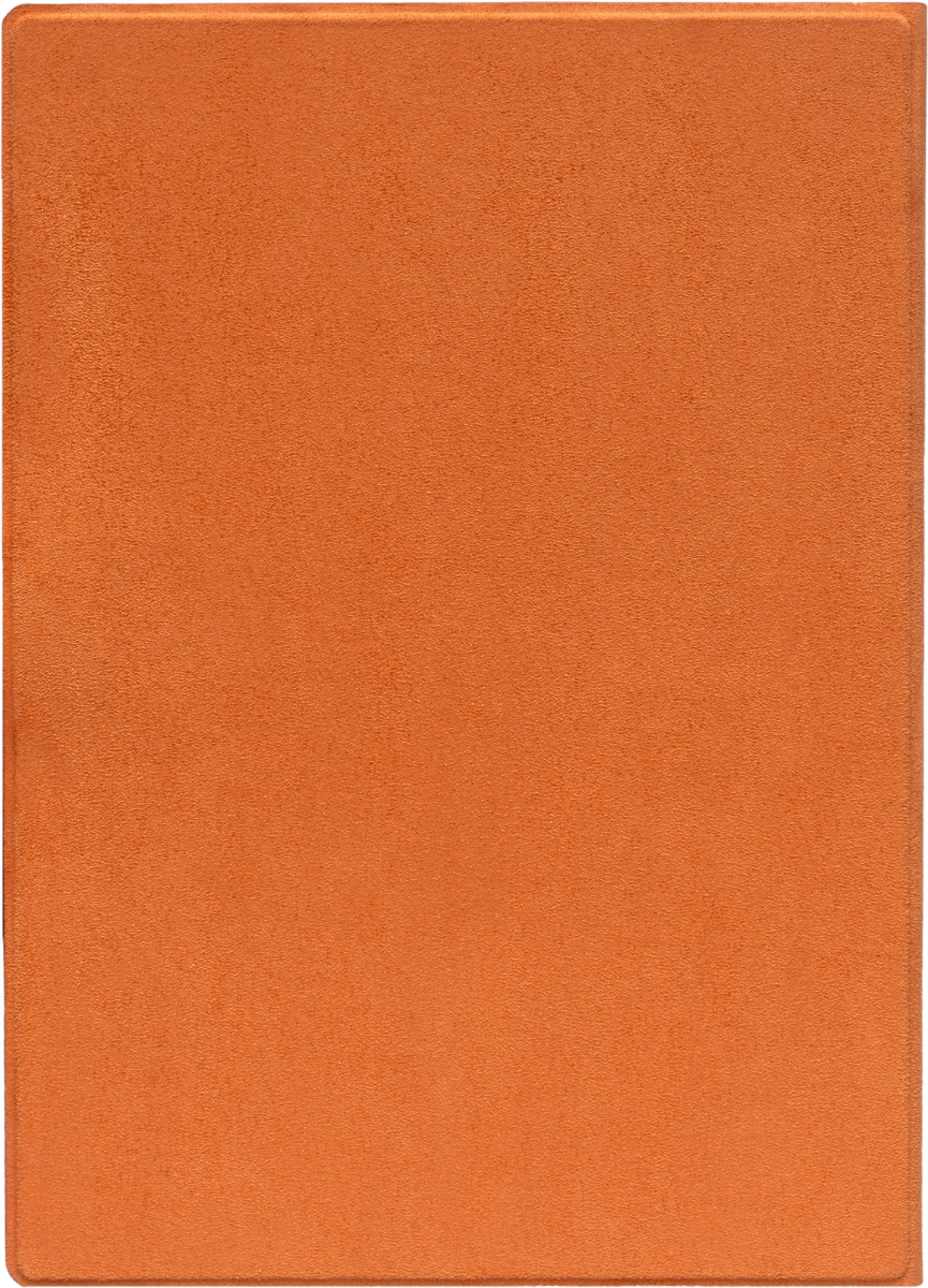 Magnetic folio cover dark orange for InkPad 1030 One